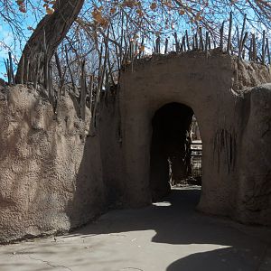 Africa - White Rhinoceros Exhibit Viewing Area