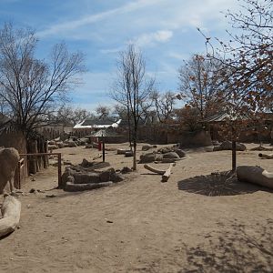 Africa - White Rhinoceros Exhibit