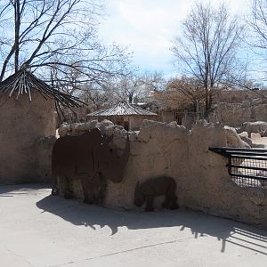 Africa - White Rhinoceros Exhibit Viewing Area