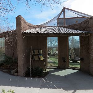 Africa - Chimpanzee Exhibit Viewing Area