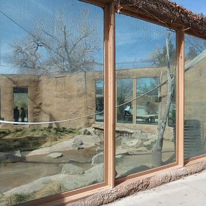 Africa - Chimpanzee Exhibit Viewing Area