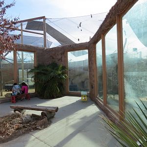 Africa - Chimpanzee Exhibit Viewing Area