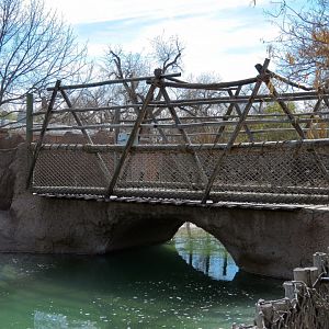 Africa - Hippopotamus Exhibit Viewing Bridge