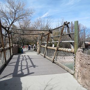 Africa - Hippopotamus Exhibit Viewing Bridge