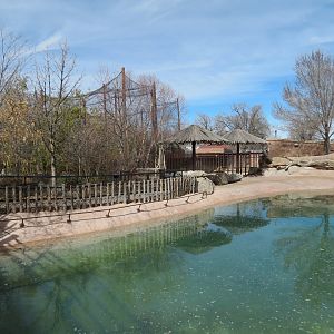 Africa - Hippopotamus Exhibit