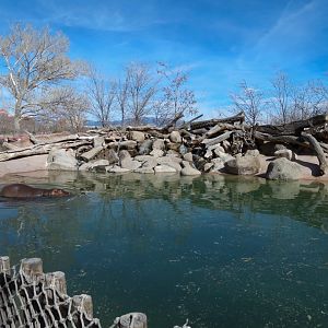 Africa - Hippopotamus Exhibit