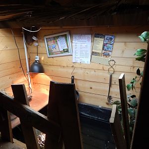 Annam Leaf Turtle tank