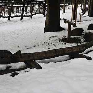 Wooden Olm in the Play Area at Ljubljana Zoo, 07/03/18