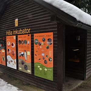 Incubation Building  at Ljubljana Zoo, 07/03/18