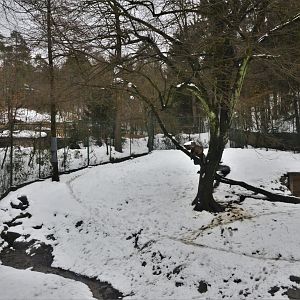 Cheetah Enclosure at Ljubljana Zoo, 07/03/18