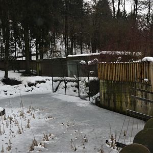 Cheetah Enclosure at Ljubljana Zoo, 07/03/18