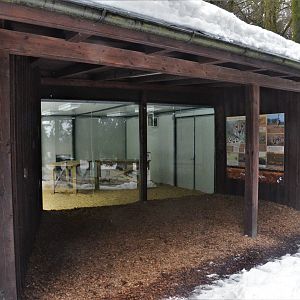 Cheetah Indoor Viewing at Ljubljana Zoo, 07/03/18