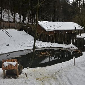 North American Beaver Enclosure at Ljubljana Zoo, 07/03/18
