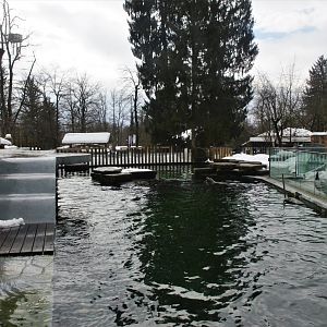 California Sea Lion Pool at Ljubljana Zoo, 07/03/18