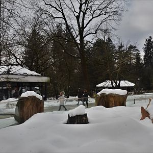 Meerkat Enclosure and Gift Shop at Ljubljana Zoo, 07/03/18