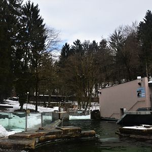 California Sea Lion Pool at Ljubljana Zoo, 07/03/18