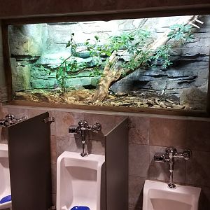 Mar. 2018 - Entry Village Bathroom - Boelen's Python Exhibit
