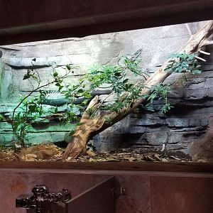 Mar. 2018 - Entry Village Bathroom - Boelen's Python Exhibit