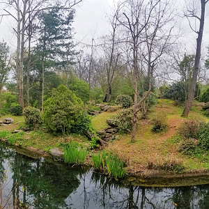 Mar. 2018 - Zoo Central - Gibbon Islands Panorama
