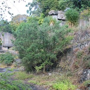 old Sun Bear enclosure