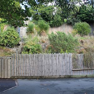 old Sun Bear enclosure