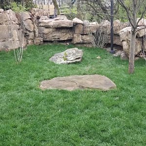 Mar. 2018 - New 2018! Expedition Peru - Southern Pudu Exhibit (Right Half)