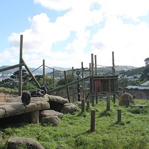 Chimpanzee enclosure