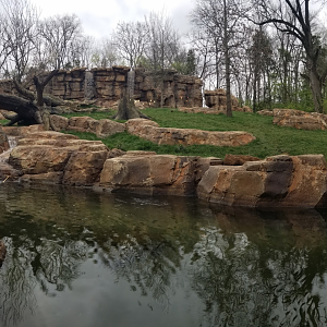 Mar. 2018 - New 2018! Expedition Peru - Massive Andean Bear Exhibit