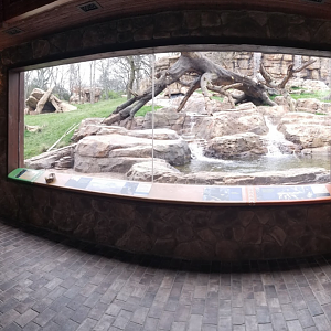 Mar. 2018 - New 2018! Expedition Peru - Andean Bear Exhibit Viewing Panorama