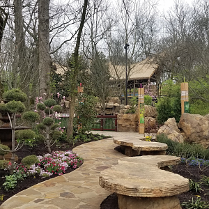 Mar. 2018 - New 2018! Expedition Peru - Central Garden