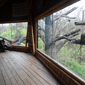 Mar. 2018 - Bamboo Trail - Mexican Spider Monkey Exhibit