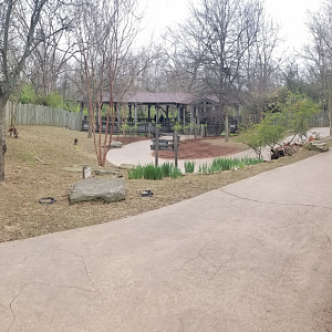 Mar. 2018 - The Jungle Loop - Kangaroo Kickabout