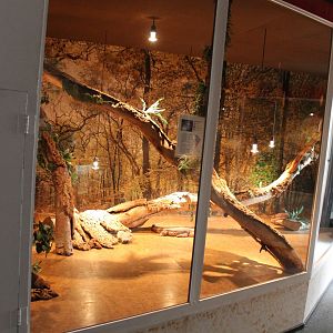 Red tegu-enclosure - former Green iguana-enclosure