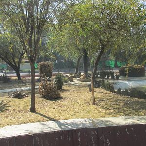 capybara exhibit