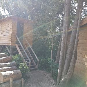 Viewing-tower owl-aviary