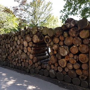 Viewing-spot deer-stable