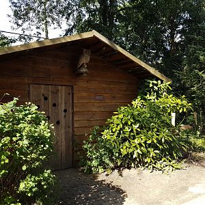 Owl-shed