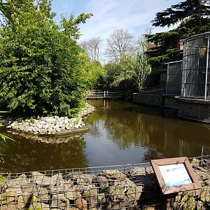 Lemur-island in front of Monkey-house