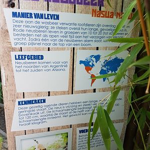 Sign Ring-tailed coati