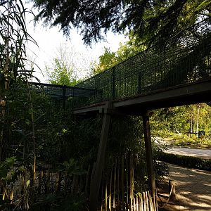 Ruffed lemur bridge