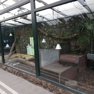 Black and white tegu-enclosure