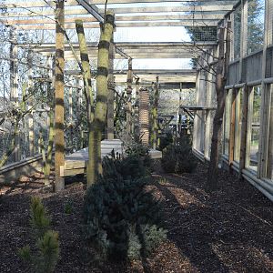 Completed snow leopard extension