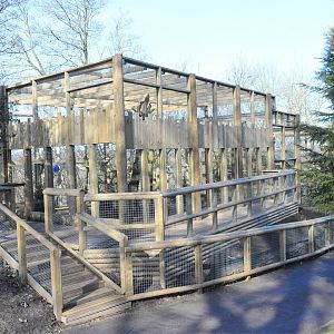 Completed snow leopard extension