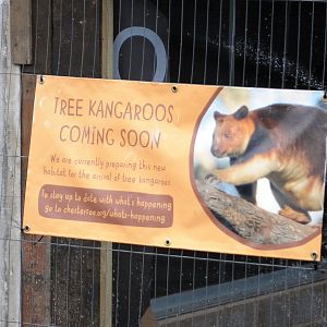 Tree Kangaroo sign coming soon