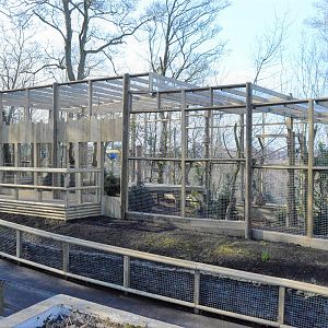 Completed snow leopard extension