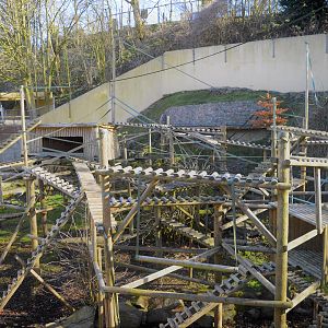 Black howler monkey enclosure