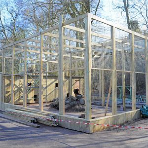 New binturong enclosure under construction
