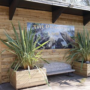 Outside the Dragon's Lair