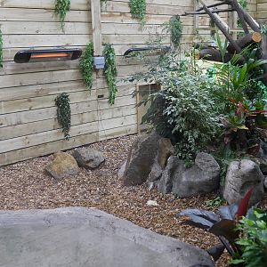 Inside the Dragon's Lair