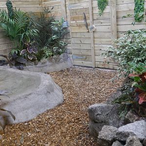 Inside the Dragon's Lair